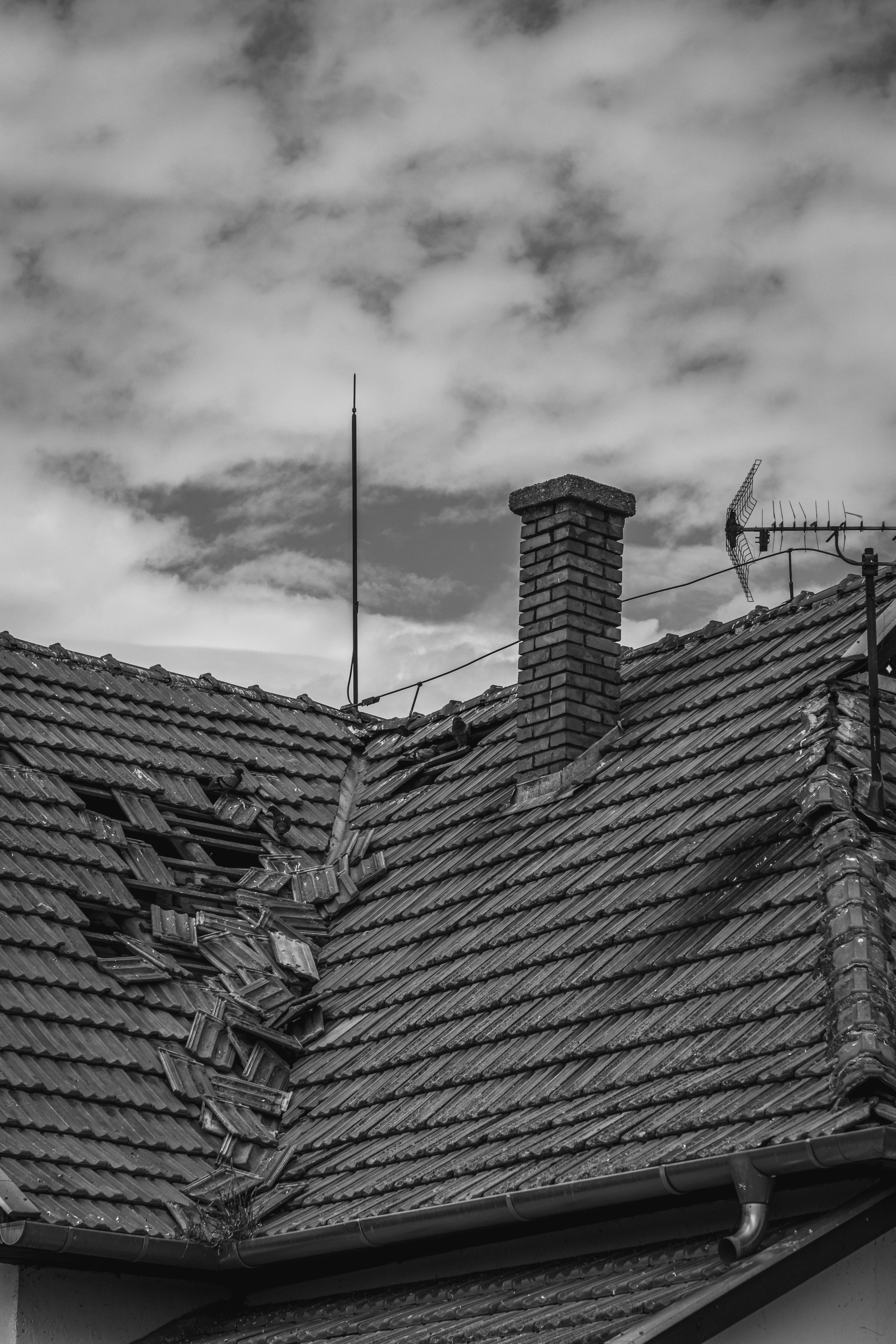 Roof leak detection and repair